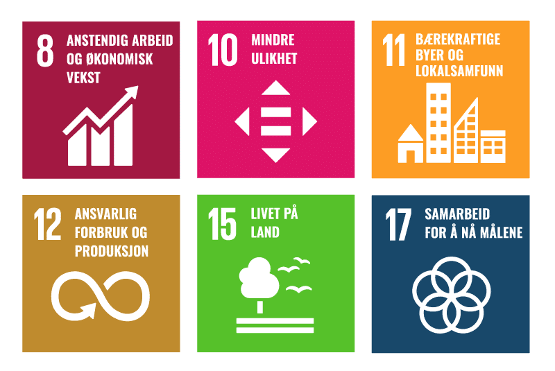 Ikoner for FNs bærekraftsmål nummer 8, 10, 11, 12, 15 og 17.